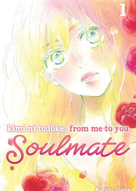 Kimi ni Todoke: From Me to You: Soulmate