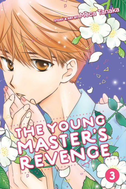 The Young Master’s Revenge