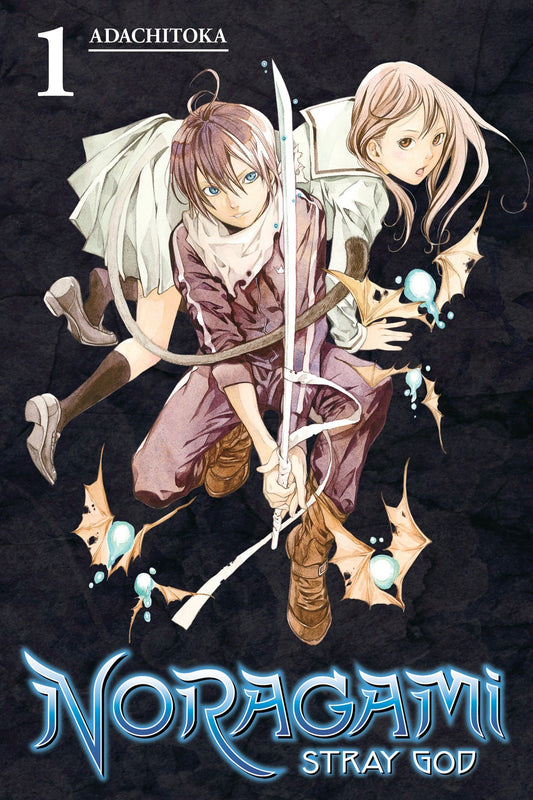 Noragami: Stray God