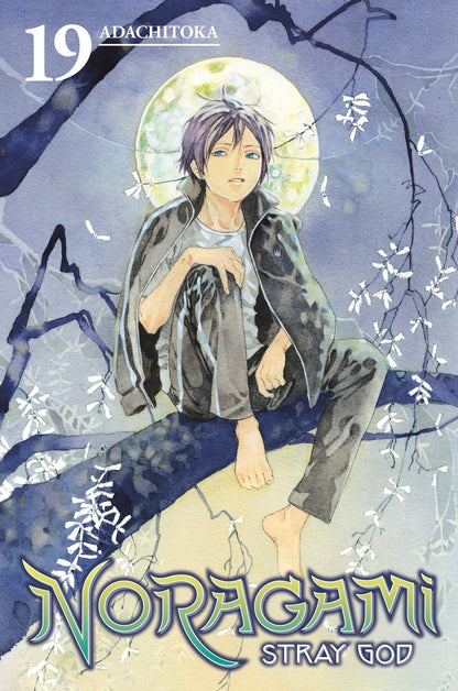 Noragami: Stray God