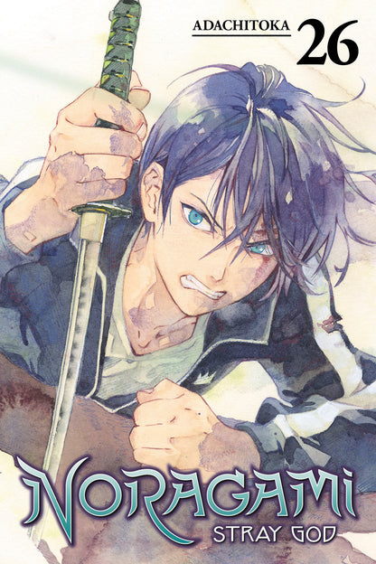 Noragami: Stray God