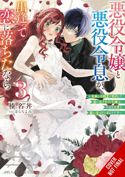 If the Villainess and Villain Met and Fell in Love (light novel)